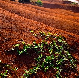 以身证道，百世不悔！精品独立游戏《轮回修仙路》今日steam开售！